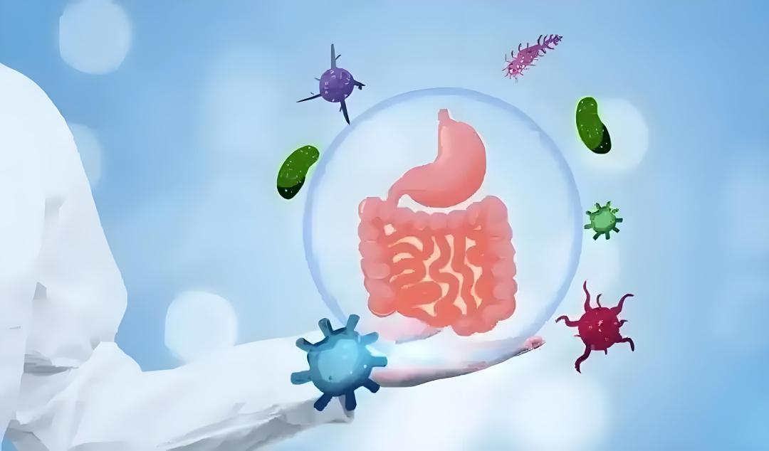 d150fe102c93f5125169a04bf4bcdf20.png 3.png